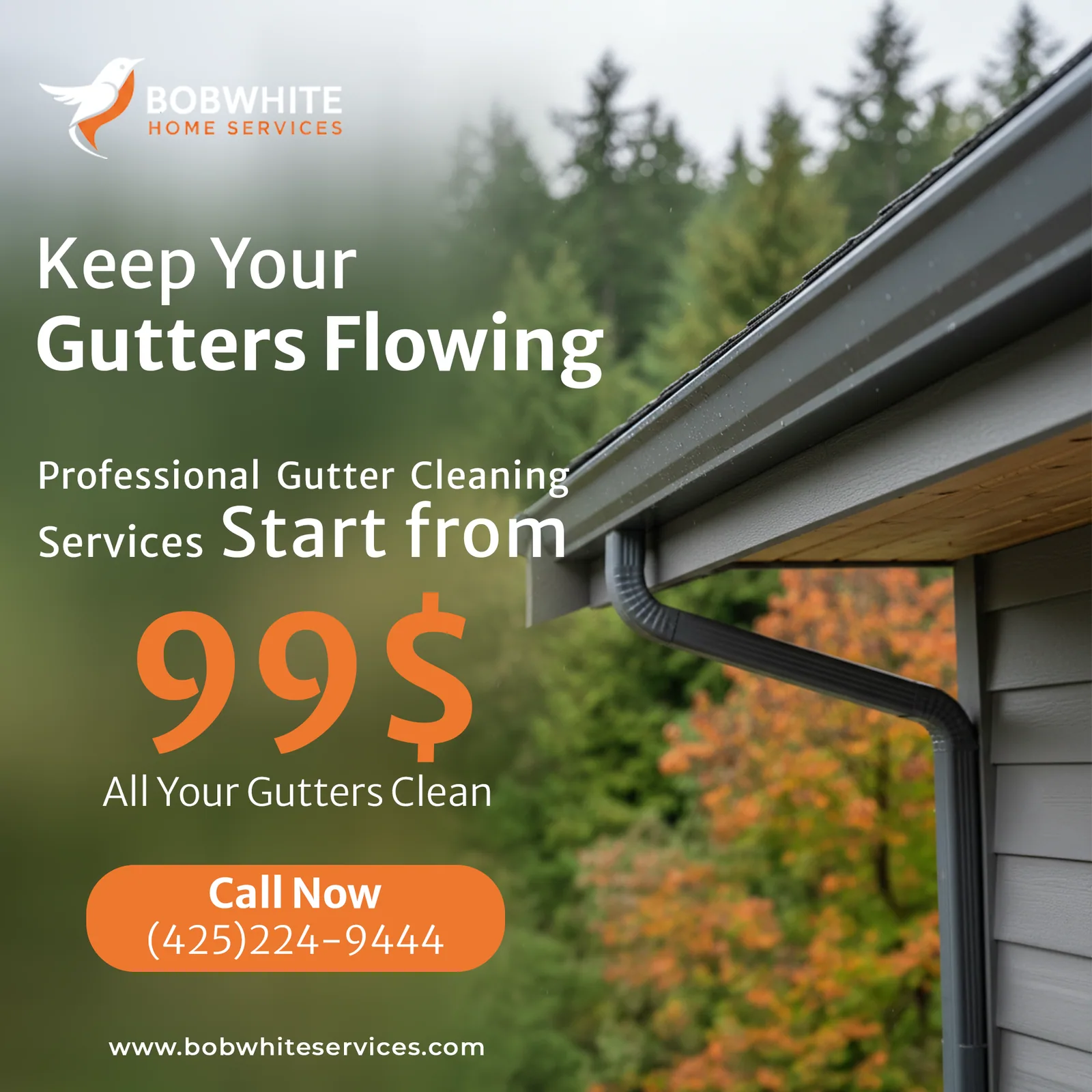 Bobwhite Services
